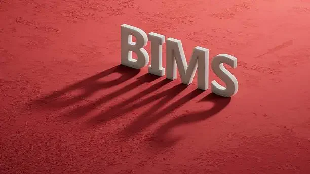 BIM and 4D construction videos visualizing project sequencing